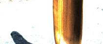 6-16-2010_002.jpg